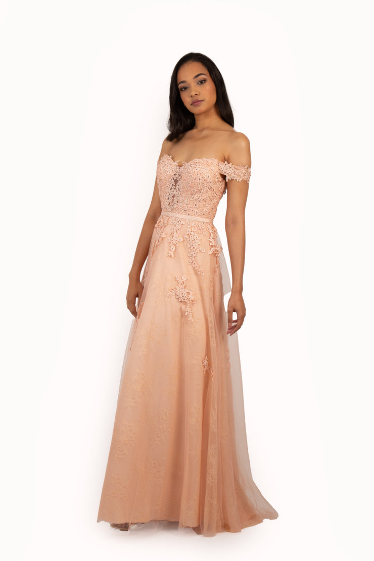 'STORM' Off Shoulder Lace Applique Tulle Empire Dress | Blush